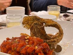 -上海和平饭店龙凤厅 Dragon Phoenix