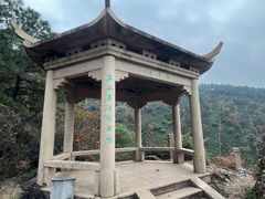 -树山生态村