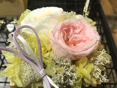 -植物学家的女儿(北马道巷店)