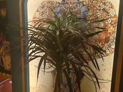 -新泰遇SPA·即派·青春颜艺(维也纳江西大厦店)