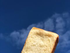 匠心金砖-好利来(桃源店)