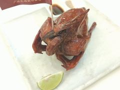 -侨美·唐荔园·40年地道粤菜