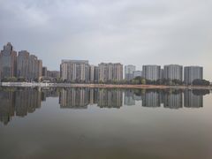 -金沙湖公园