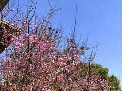 -长沙市青少年宫