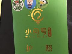-小问号·科学启蒙·逻辑思维·阅读素养·口才演讲(杨浦合生汇中心)