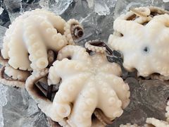 -铭聚章鱼土笋冻(松柏店)