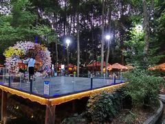 -二荆条·蜀鲜汇城市森林火锅