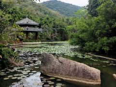 -亚龙湾热带天堂森林公园