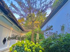 -杭州植物园