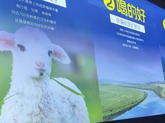 -额尔敦草原涮羊肉·烧烤(冻青树总店)