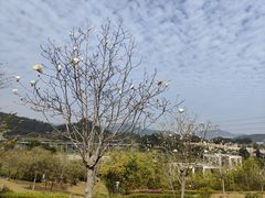 -中国移动南方基地