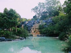 -吴淞炮台湾湿地森林公园烧烤区