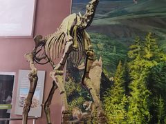 -陕西自然博物馆