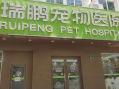 -瑞鹏宠物医院·骨外科·心肾科·肿瘤科(九亭店)