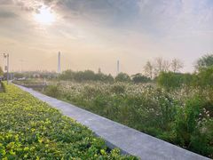 景点-鱼嘴湿地公园