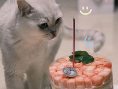 -静宜和她的朋友(星海广场店)