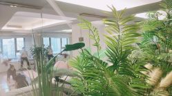 点击看大图 -爱瑞馨母婴护理中心(爱悠悠店)