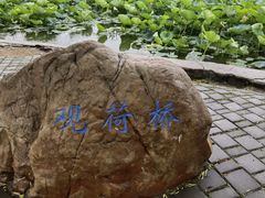 -长春市南湖公园