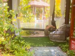 -碧桂园润杨溪谷温泉酒店