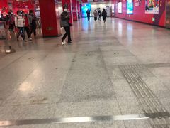 -望京西(地铁站)