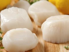 -东方国际水产中心