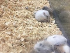 -百盛(莘庄店)