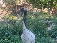 -石家庄市动物园