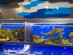 水产区-盒马鲜生(双清路店)