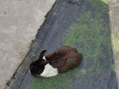 -南戴河国际娱乐中心