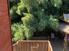 -呀路古热带植物园