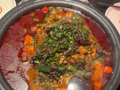 -探鱼·鲜青椒爽麻烤鱼(番禺万达店)