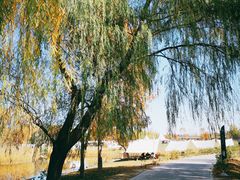 -安德鲁户外烧烤帐篷营地(马泉营店)