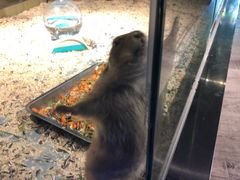-昆明大悦城未来动物城(螺蛳湾中心店)
