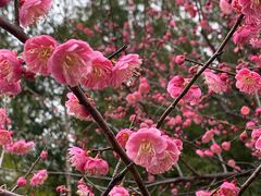 -凤凰沟景区