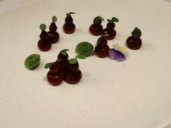 -上海小南国(国会店)