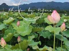 -九屋西岭生态度假景区