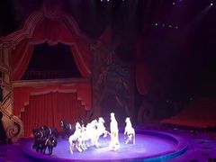 -珠海横琴长隆《卡卡虎奇遇记》