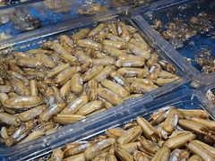 -徐记海鲜(大雁塔|金都店)