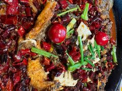 -老板恋上鱼(恒隆广场店)