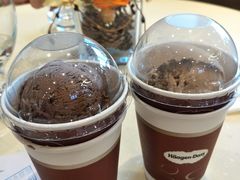-哈根达斯(石家庄北国店)