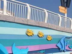 -海合安青岛极地海洋公园