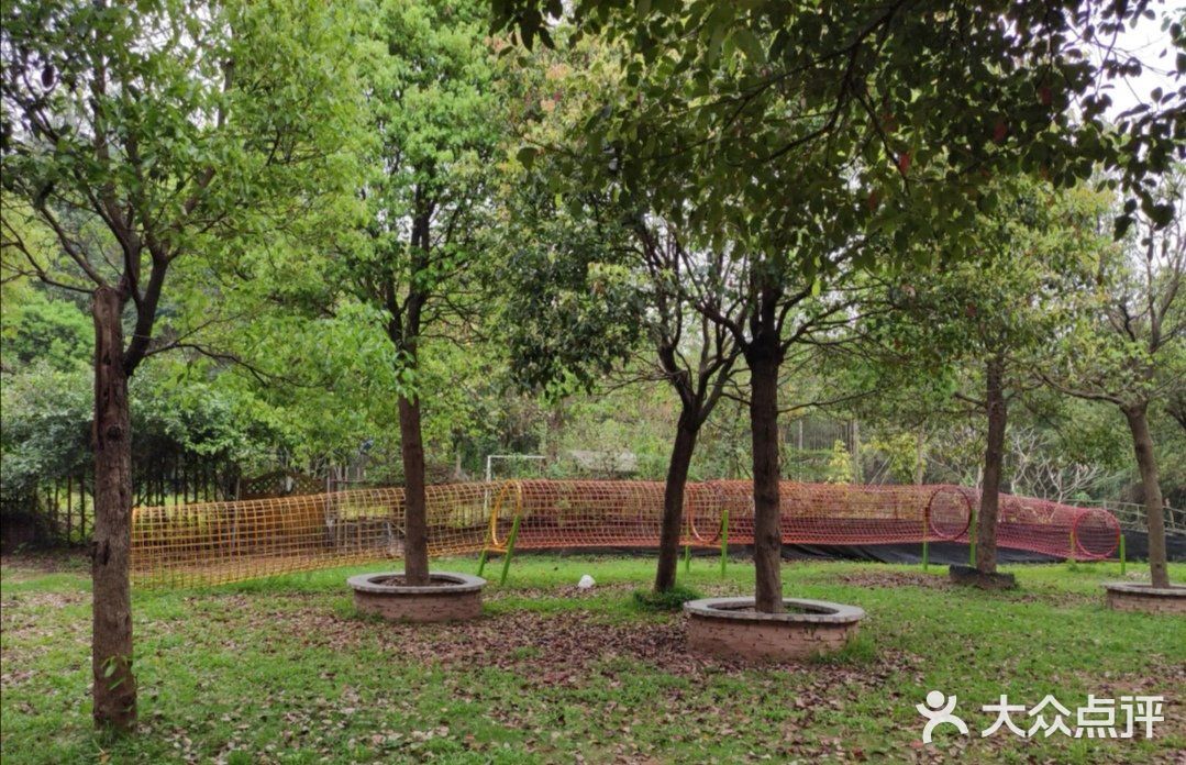 打卡格林东庄营地