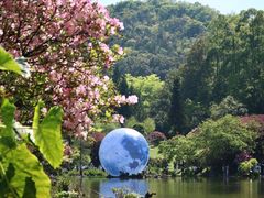 -深圳仙湖植物园