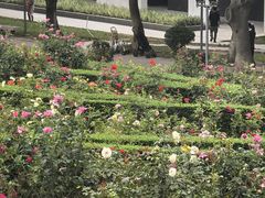 -紫马岭公园