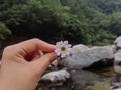 -沣峪口