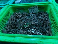 -都斛海鲜街