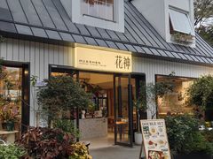 -花神·轻食简餐·咖啡馆·花卉绿植(荷兰花卉小镇店)