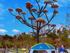 -白石龙音乐公园