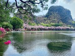 -星湖旅游景区七星岩