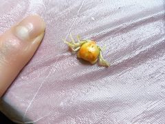 -宾朋海鲜饭庄(兴海路店)